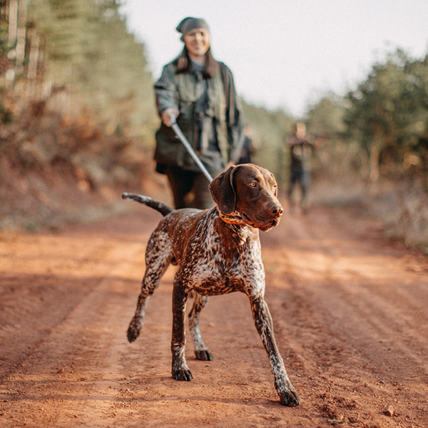 Woman walking on a dirt trail with a hunting dog on a leash, surrounded by trees and morning light.