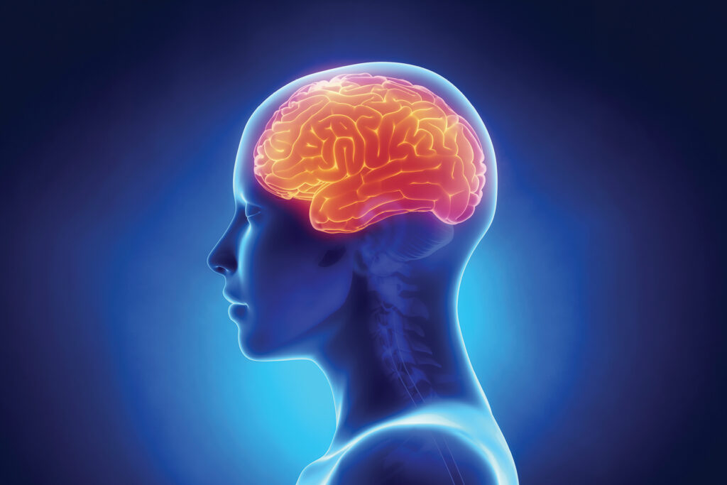 Medical illustration of a human brain highlighted in orange inside a translucent head profile, representing how hearing aids support brain processing of sound