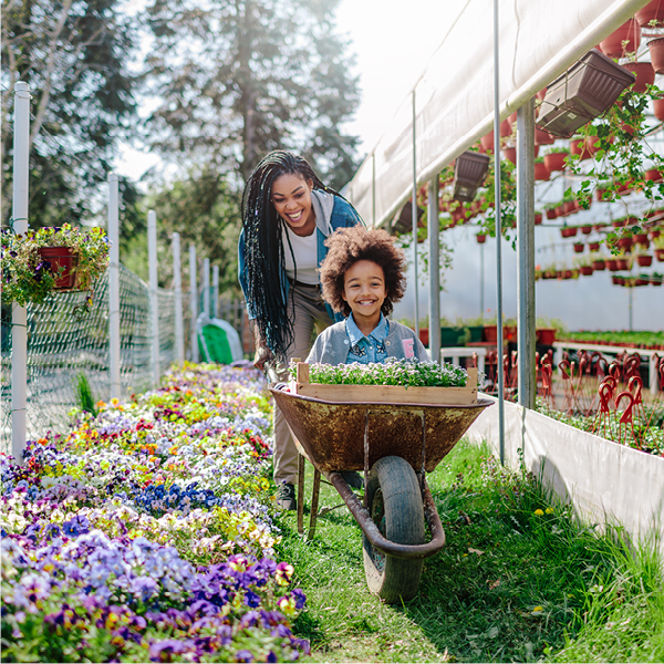 Woman smiling and pushing a child in a wheelbarrow through a flower garden in spring